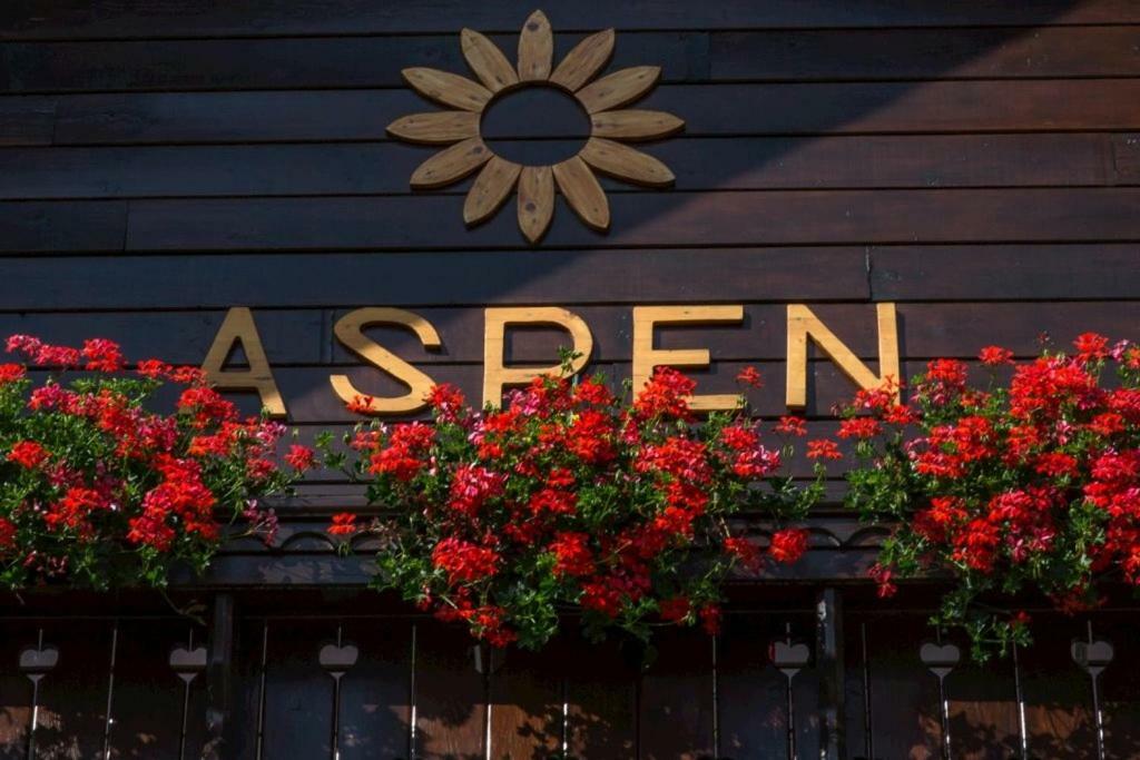 Aspen Apartment Nová Lesná Exterior foto